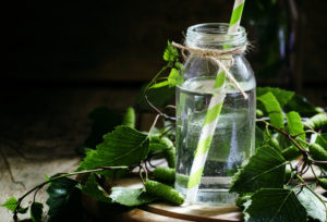 Verre de sève de bouleau