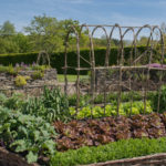 Potager avec une rotation des cultures mise en place